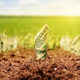 Spring Into Cash Spring Into Cash With These Top Savings Tips | Exchange Bank