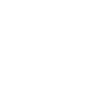 icon secuire